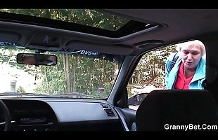 oud teef krijgt genageld in de auto door een Vreemdeling