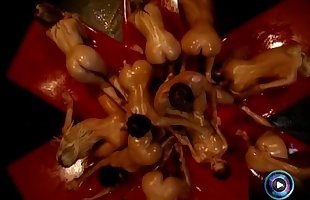Hot chicks soaked in oil waiting for Rocco Siffredi to fuck them